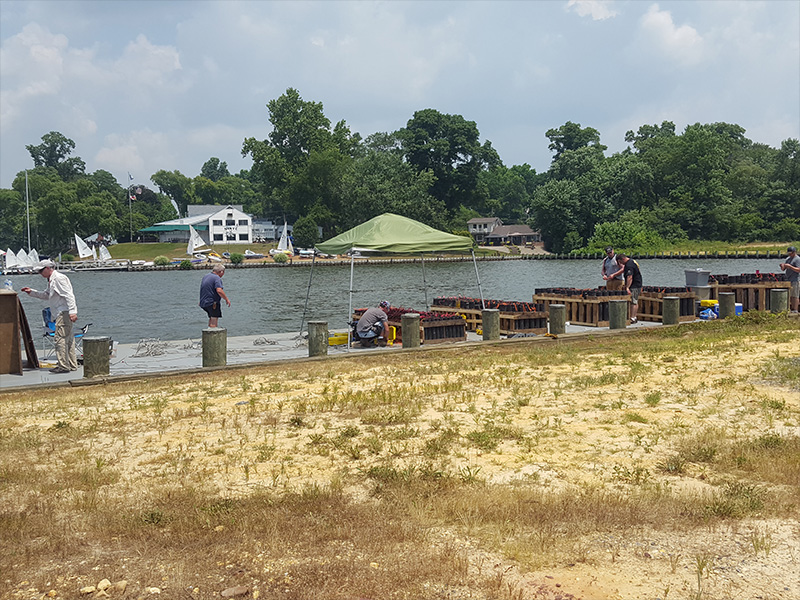 Barge Building